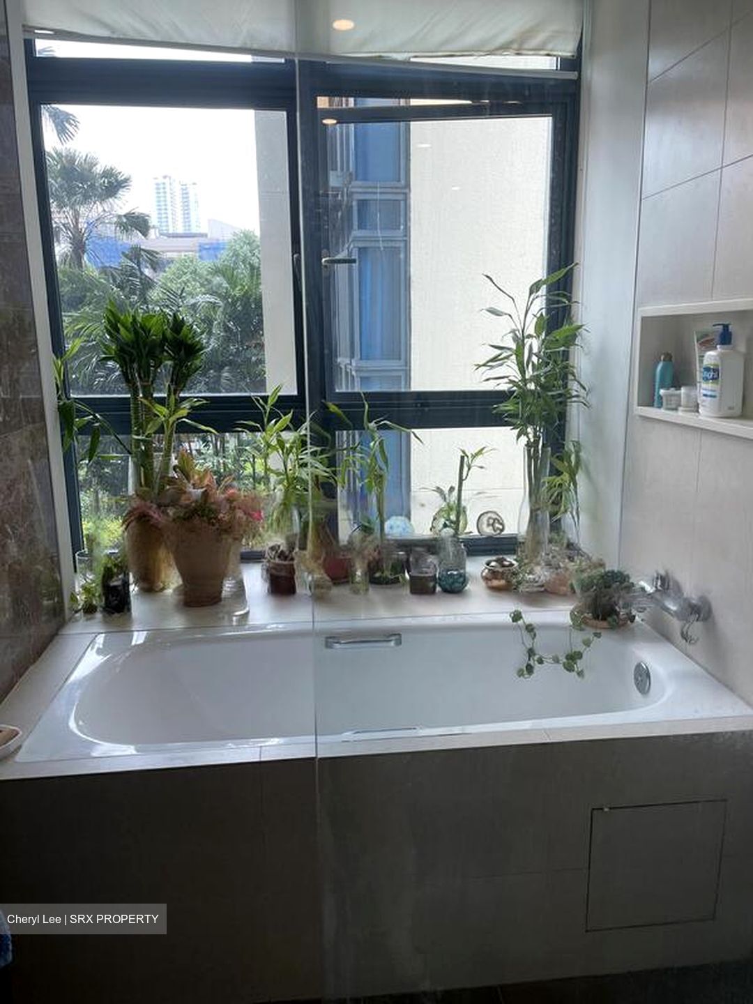 City Square Residences (D8), Condominium #481681251